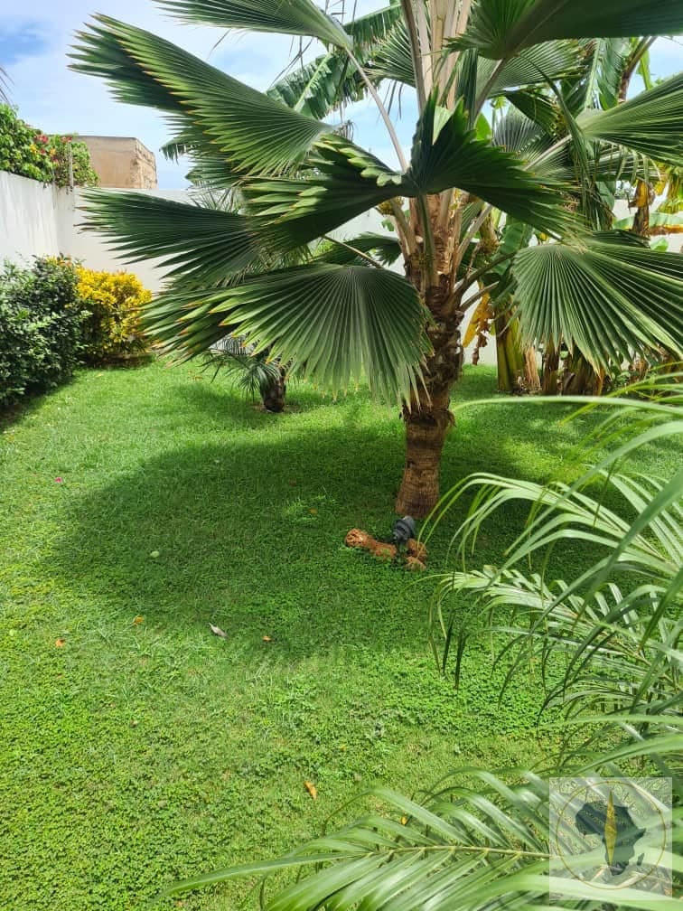 Villa en location saisonnière à Mbour — photo 9