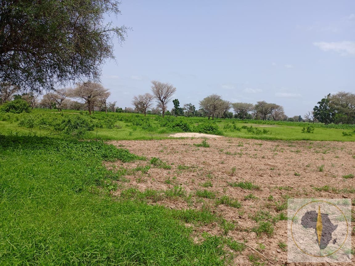 Terrain à vendre à Noto — photo 4