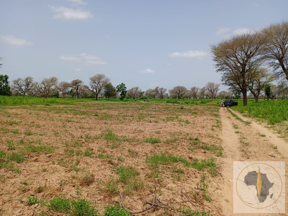 Terrain à vendre à Noto — photo 2